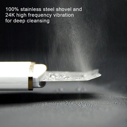 Ultrasonic Skin Scrubber Vibration Face